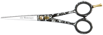 bs55